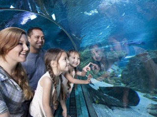 アクアリウム　オブ　グアム（水族館）