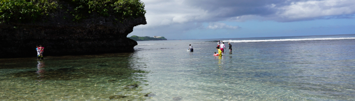 安全に利用できる初めての海やプール