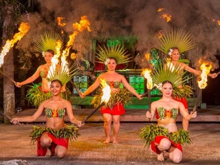 ポリネシアンディナーショー