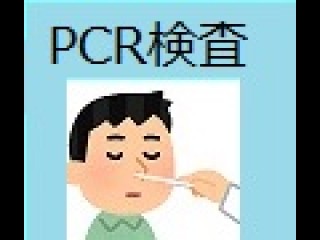 【日本帰国時】新型コロナウイルスPCR検査　証明書取得、通訳アシストサービス（日曜日、祭日除く）