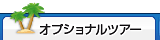 オプショナルツアー