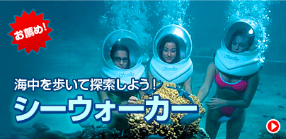 グアム旅行 観光 オプショナルツアーのグアム旅行ナビ
